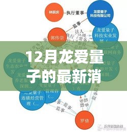 揭秘十二月龍愛量子最新動態(tài)，進展、領(lǐng)域地位與背景解析