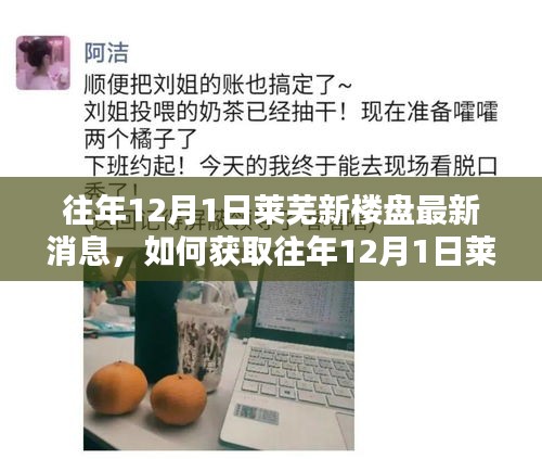 往年12月1日萊蕪新樓盤最新消息獲取指南，詳細(xì)步驟與最新動(dòng)態(tài)速遞