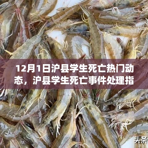 滬縣學(xué)生死亡事件，處理指南與應(yīng)對行動全步驟詳解
