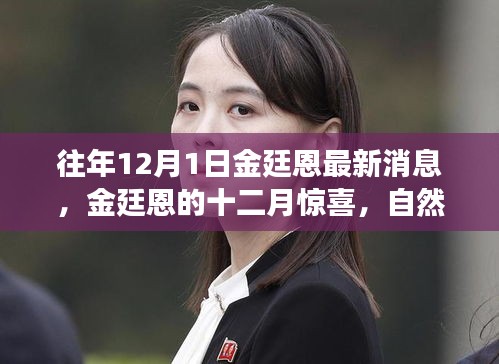 金廷恩十二月驚喜之旅，心靈啟示與自然美景的交融時(shí)刻