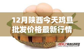 陜西今日雞蛋批發(fā)價格詳解，最新行情、查詢方法與應(yīng)對策略