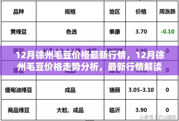 徐州毛豆行情解析，最新價(jià)格走勢(shì)與解讀
