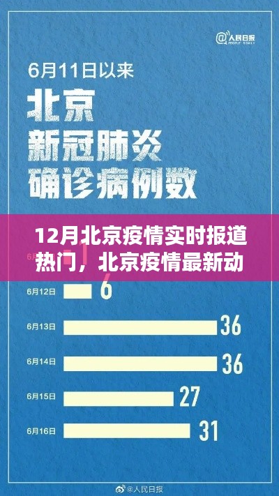 北京疫情最新動態(tài)，12月實時報道與熱門關注
