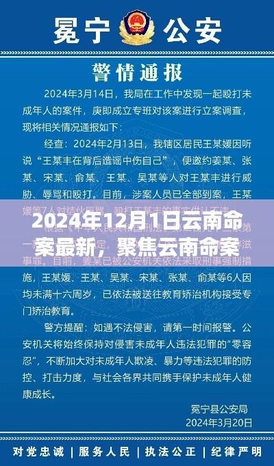 聚焦云南命案，最新進(jìn)展與深度解讀（2024年12月版）