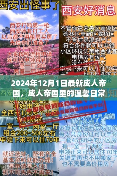成人帝國(guó)里的溫馨日常，陽(yáng)光故事2024年12月1日