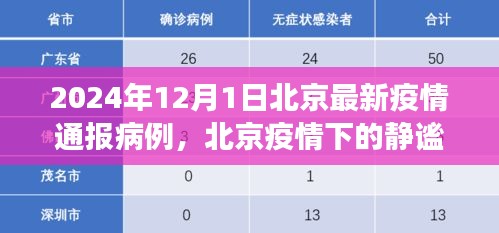 北京疫情通報(bào)病例下的靜謐之旅，自然美景的心靈之旅