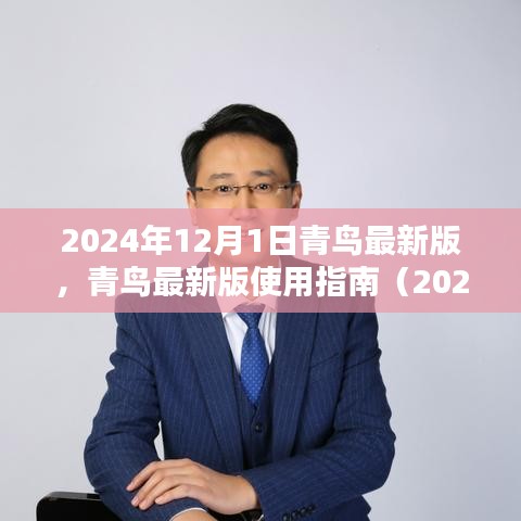 青鳥(niǎo)最新版使用指南（2024年12月版），初學(xué)者與進(jìn)階用戶(hù)指南共鑒