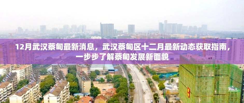 武漢蔡甸區(qū)十二月最新動態(tài)全解析，發(fā)展面貌大揭秘