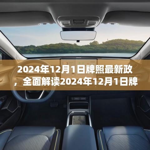 解讀2024年牌照新政，特性、體驗、競品對比及用戶群體深度分析