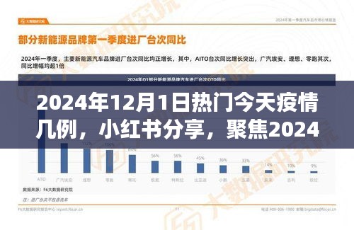 小紅書分享，聚焦2024年12月1日疫情最新動態(tài)及今日疫情數(shù)據(jù)報告