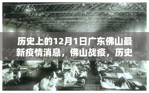 廣東佛山疫情回顧與最新動(dòng)態(tài)，歷史上的十二月一日疫情影響與戰(zhàn)疫進(jìn)展