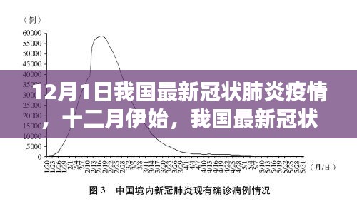 我國最新冠狀肺炎疫情深度解析，十二月伊始的疫情動態(tài)分析