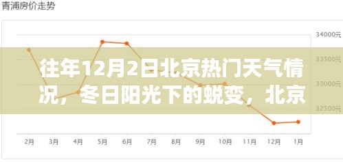 北京往年12月2日冬日陽光下的學(xué)習(xí)之旅與自信起航，天氣回顧與蛻變時(shí)刻