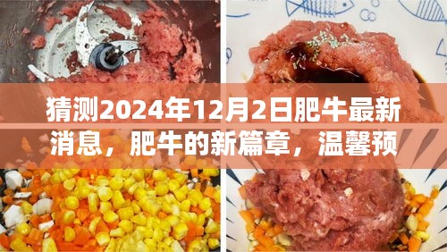 肥牛新篇章，溫馨預(yù)測(cè)肥牛最新消息，展望驚喜日常
