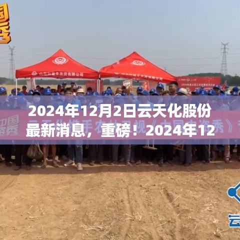 獨(dú)家揭秘，云天化股份最新動態(tài)與未來展望（2024年12月2日更新）