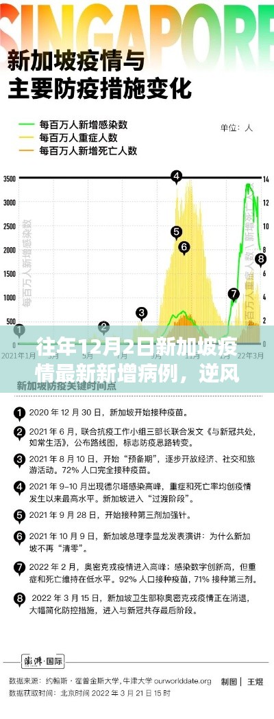 新加坡疫情下的勵志篇章，逆風砥柱，學習變化的力量與自信之路——歷年12月2日最新數(shù)據(jù)回顧
