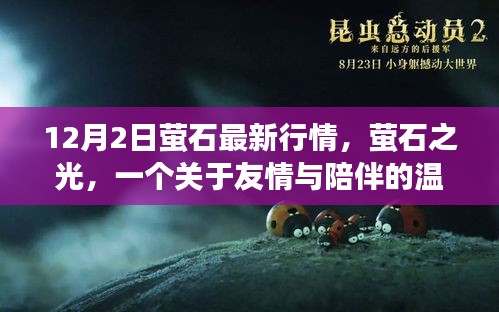 螢石最新行情揭秘，友情與陪伴的溫馨故事螢石之光