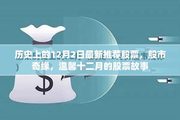 溫馨十二月，股市奇緣與最新推薦股票故事回顧
