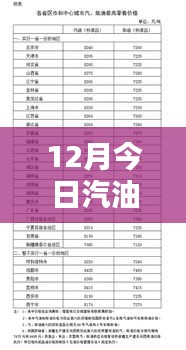 最新汽油價格分析，揭示多重因素背后的走勢與個人觀點