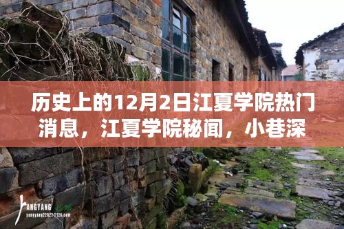 江夏學(xué)院十二月二日秘聞探尋，寶藏小店與獨(dú)特風(fēng)采揭秘