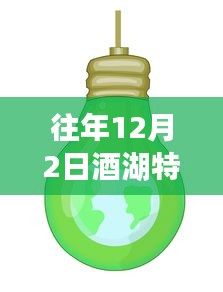 酒湖特高壓最新動態(tài)，進展、觀點與聚焦