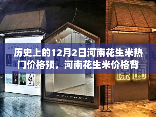 河南花生米價(jià)格背后的故事，友情與陪伴的冬日奇遇在12月2日揭曉的熱門預(yù)測
