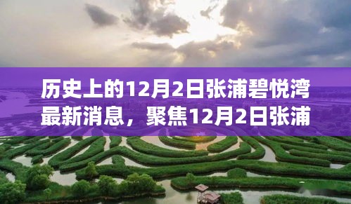 聚焦張浦碧悅灣最新動(dòng)態(tài)，深度解讀12月2日新消息及其影響