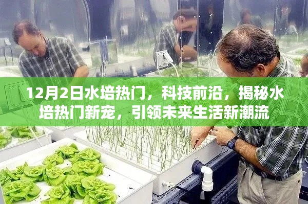 揭秘水培熱門新寵，引領(lǐng)未來生活潮流，科技前沿揭秘水培趨勢分析