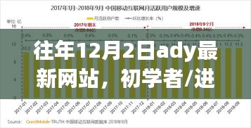 往年12月2日最新網(wǎng)站使用教程，初學(xué)者與進階用戶指南——需注意法律風(fēng)險