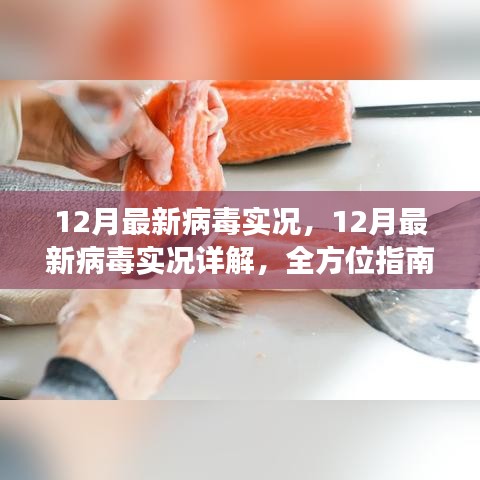 全方位指南，12月病毒威脅詳解與防范應對策略