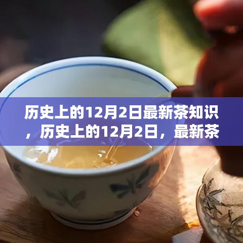 龍飛鳳舞 第6頁(yè)