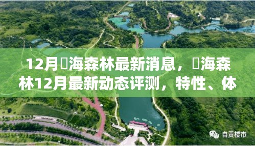燊海森林12月最新動態(tài)評測，特性、體驗、對比及用戶群體深度分析