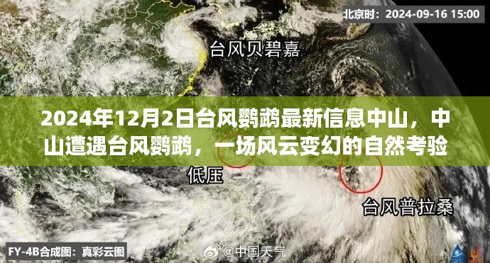 中山遭遇臺風(fēng)鸚鵡，風(fēng)云變幻的自然考驗最新信息