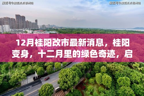 12月桂陽改市最新動(dòng)態(tài)，綠色奇跡啟程，心靈之旅開啟