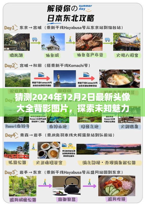 『最新精選，2024年12月2日背影頭像大全，探索未知魅力與未來(lái)時(shí)尚潮流』