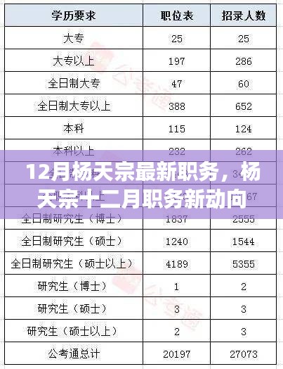 楊天宗十二月職務(wù)最新動態(tài)，多方解讀與觀點分析