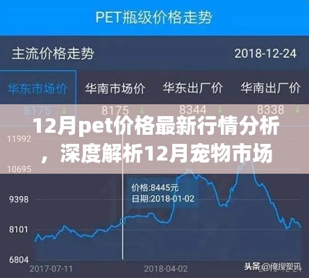 深度解析，12月寵物市場脈動與寵物價格最新行情背景重塑