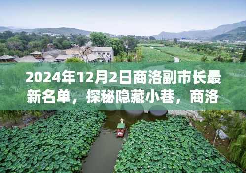 探秘隱藏小巷，揭秘商洛副市長背后的特色小店故事