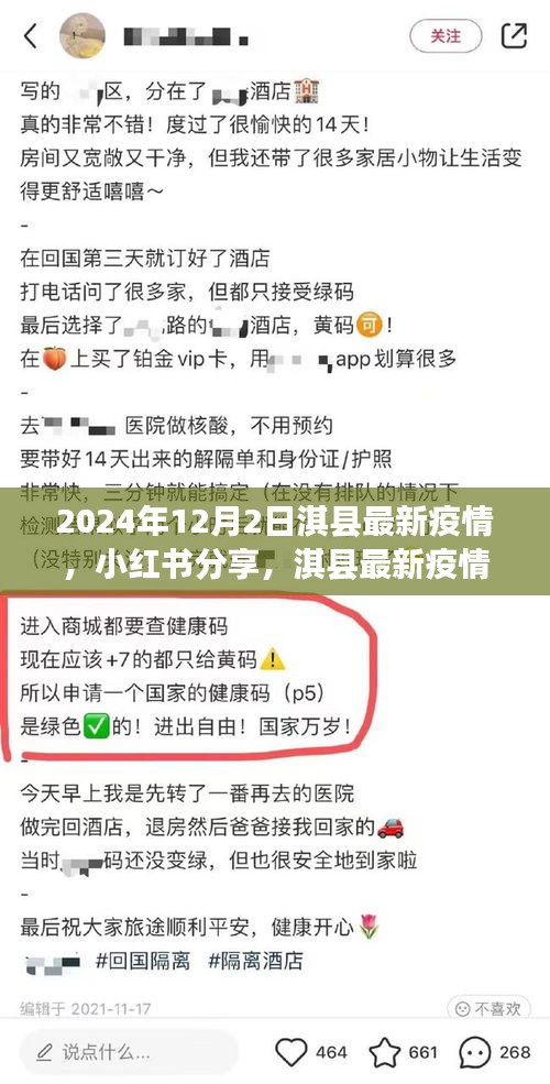 小紅書分享，淇縣最新疫情動態(tài)深度解析（2024年12月2日）
