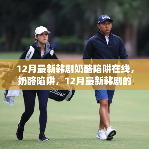 12月最新韓劇奶酪陷阱在線，奶酪陷阱，12月最新韓劇的甜蜜與掙扎