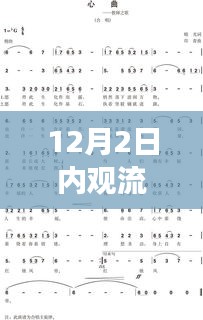 溫馨日常故事與內觀流心曲，最新歌曲發(fā)布