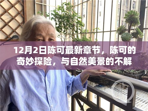 陳可的奇妙探險，最新章節(jié)揭秘與自然美景的不解之緣