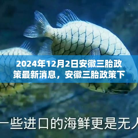 安徽三胎政策下的科技育兒革新，全新智能母嬰管理系統(tǒng)誕生與體驗紀實（最新消息）