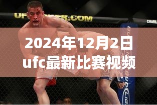 揭秘小巷深處的格斗盛宴，UFC最新比賽視頻與美食天堂的雙重體驗(yàn)（2024年12月2日）