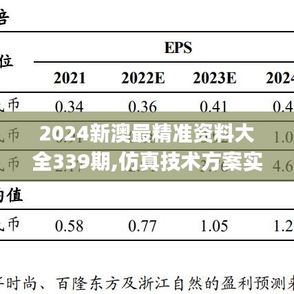 2024新澳最精準(zhǔn)資料大全339期,仿真技術(shù)方案實現(xiàn)_WP168.537-4