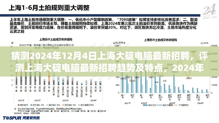 2024年12月4日上海大碇電腦最新招聘趨勢(shì)洞察與特點(diǎn)分析
