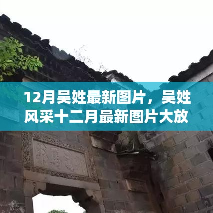 十二月吳姓風(fēng)采展示，最新圖片大放送，絕美瞬間一網(wǎng)打盡