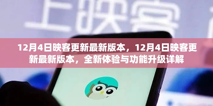 映客更新最新版本，全新體驗與功能升級詳解發(fā)布日期，12月4日