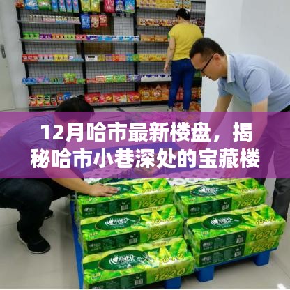 揭秘哈爾濱最新樓盤與小巷寶藏，特色樓盤與小店獨特魅力探秘