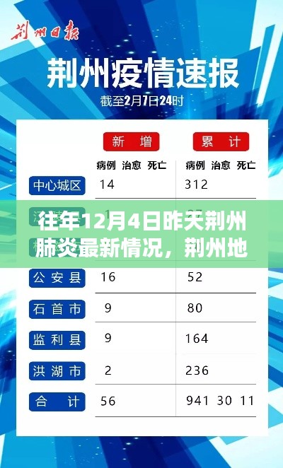 荊州地區(qū)往年12月4日昨日肺炎最新情況回顧與影響分析，回顧與啟示